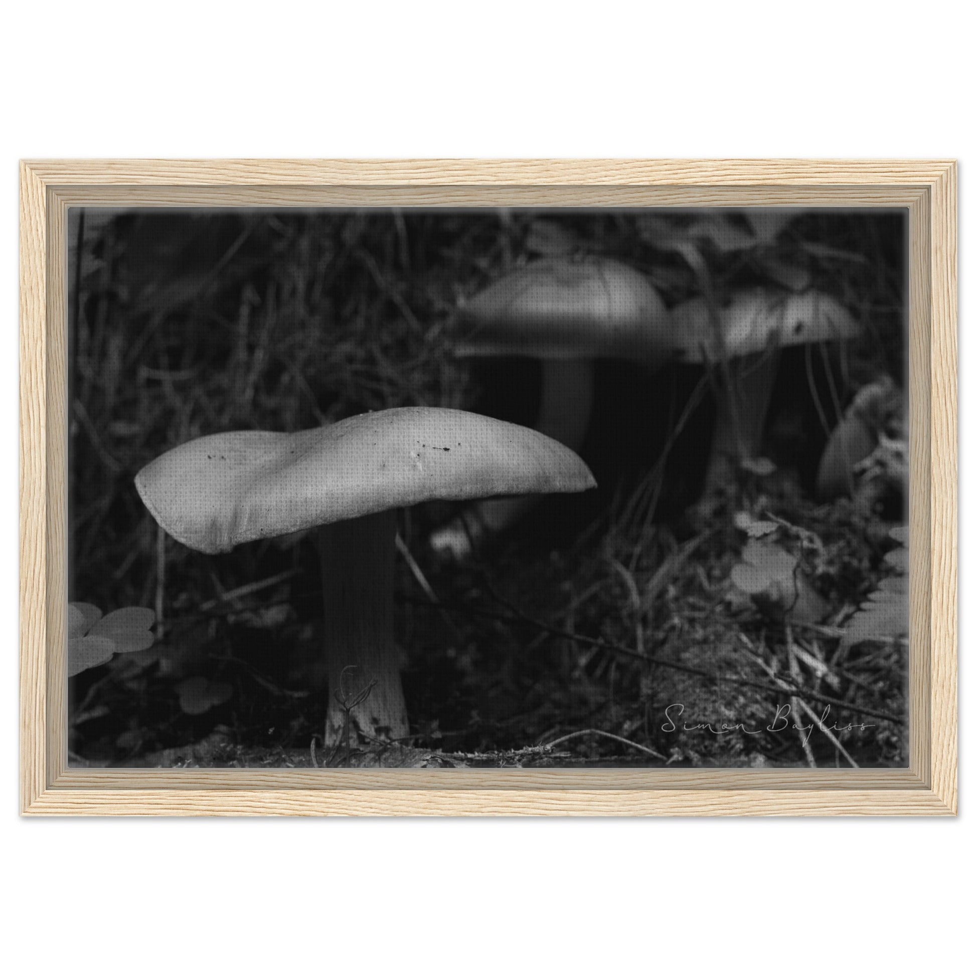 1087dae4-7b10-41c9-8e3e-a6797b800600