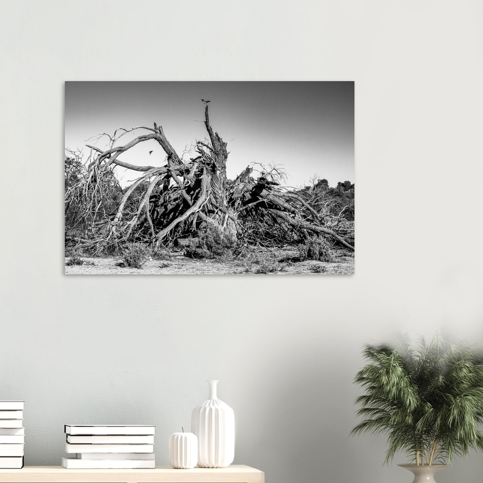 10abc824-d991-4822-8b97-00c70a761005