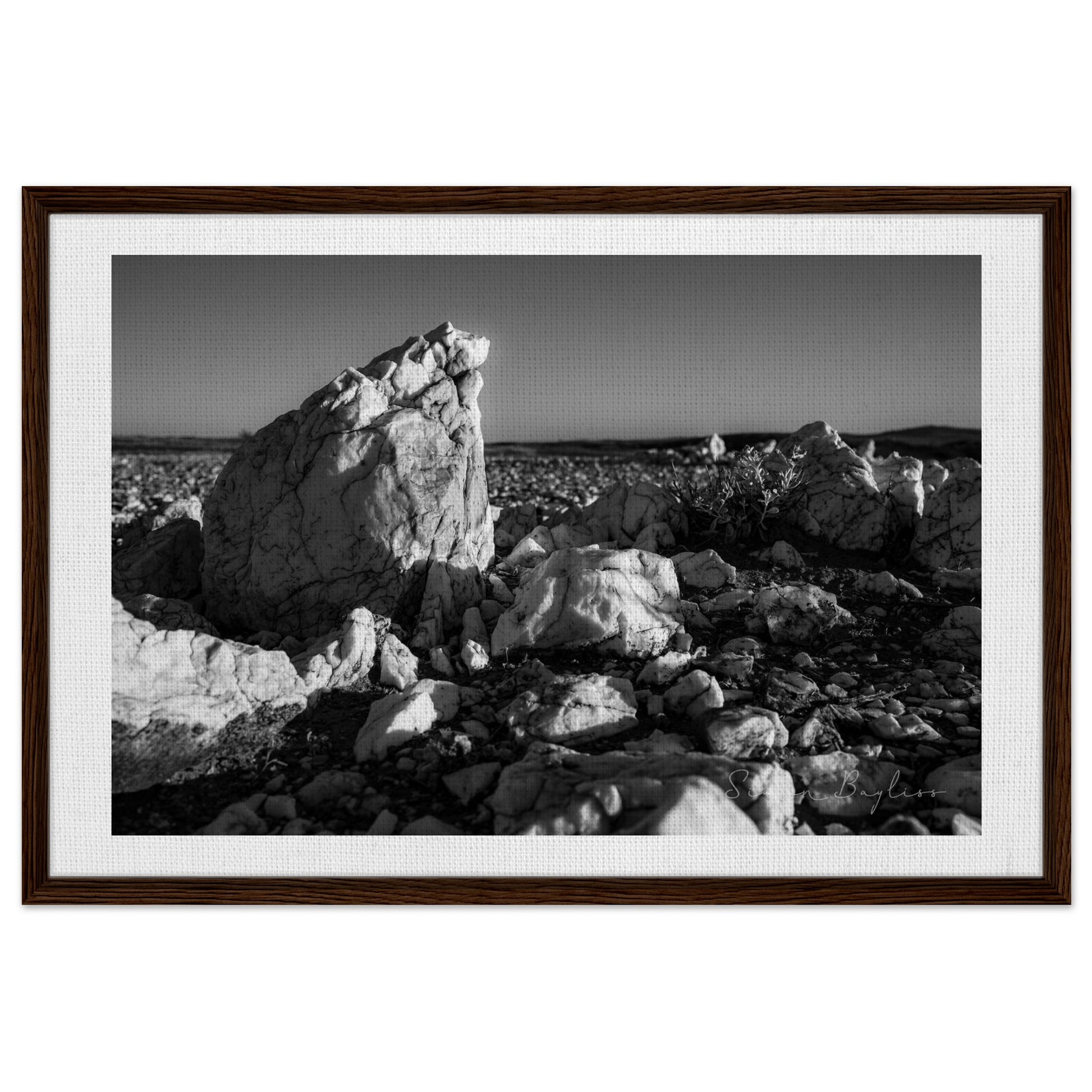 113e94a0-7733-4ac9-9a0d-8d5e89ab7ccb