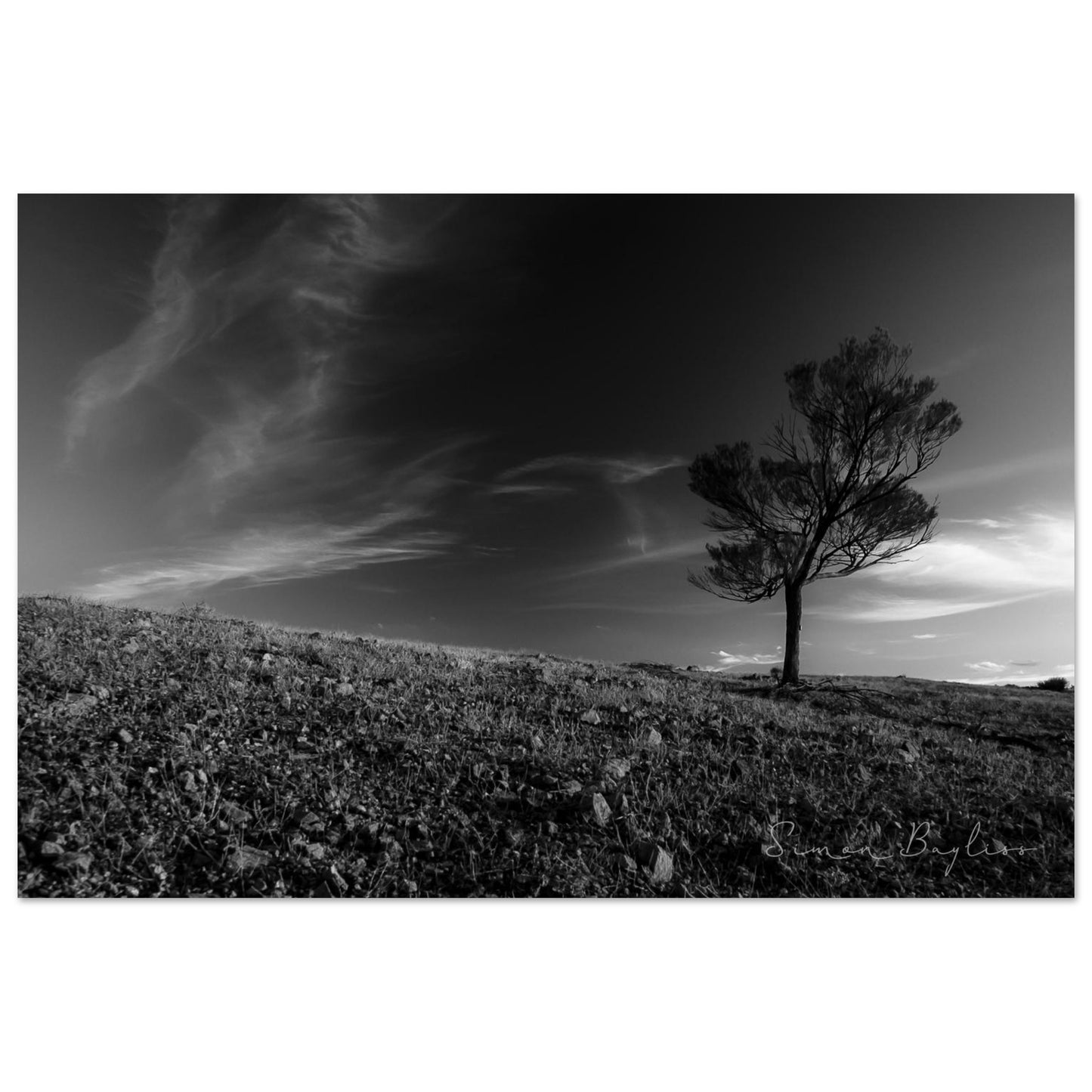 11b816df-2d09-48fa-80a8-b9da42b4fd73