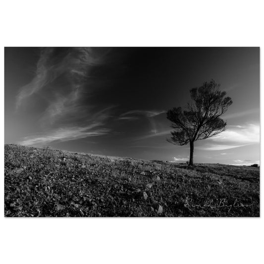 11b816df-2d09-48fa-80a8-b9da42b4fd73