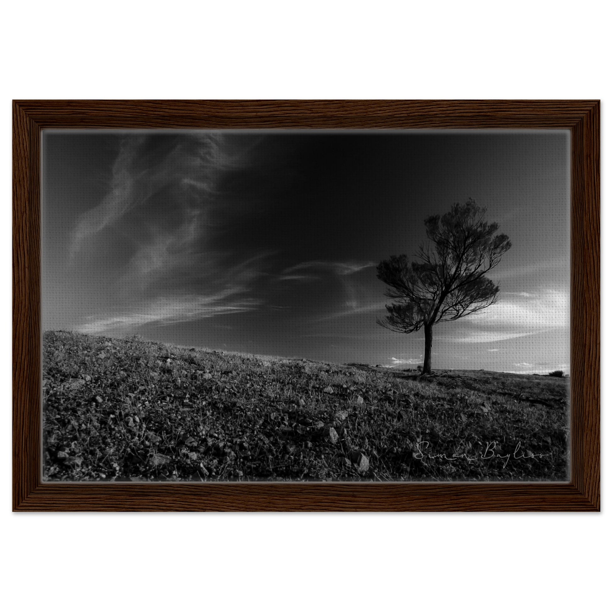 1263cea7-655c-45d8-9256-df1030fcb8ea