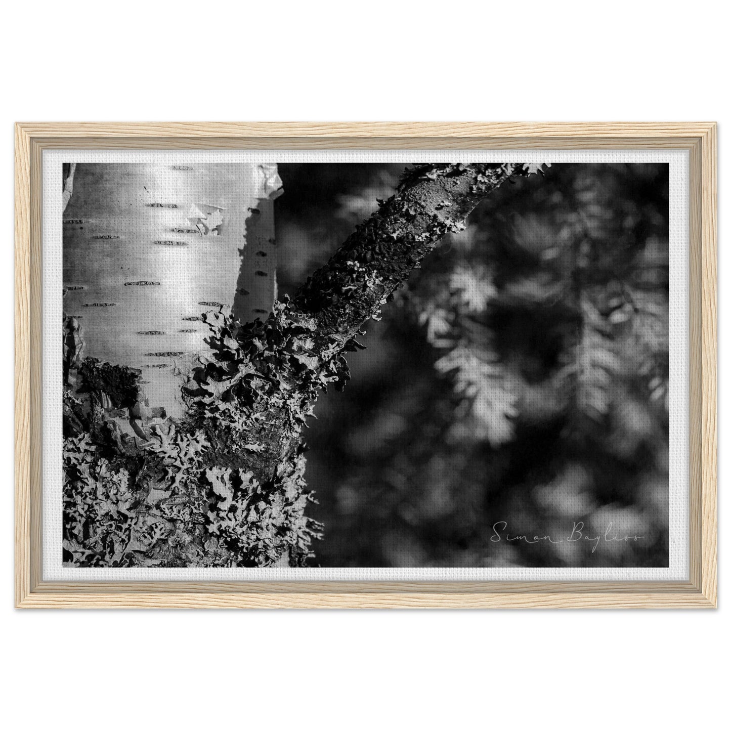 12edb8a4-49b8-413c-ad2d-f297009e8390