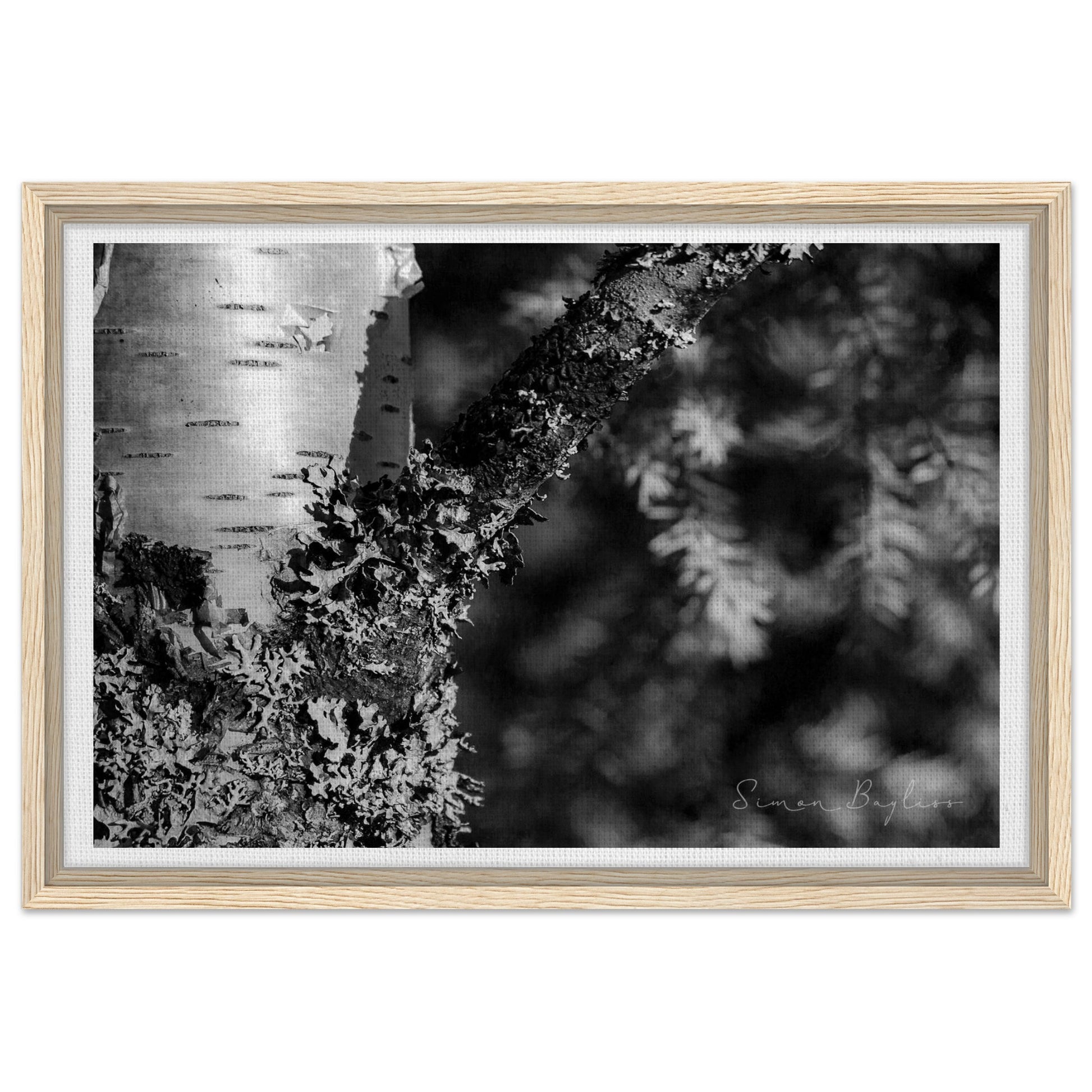 12edb8a4-49b8-413c-ad2d-f297009e8390