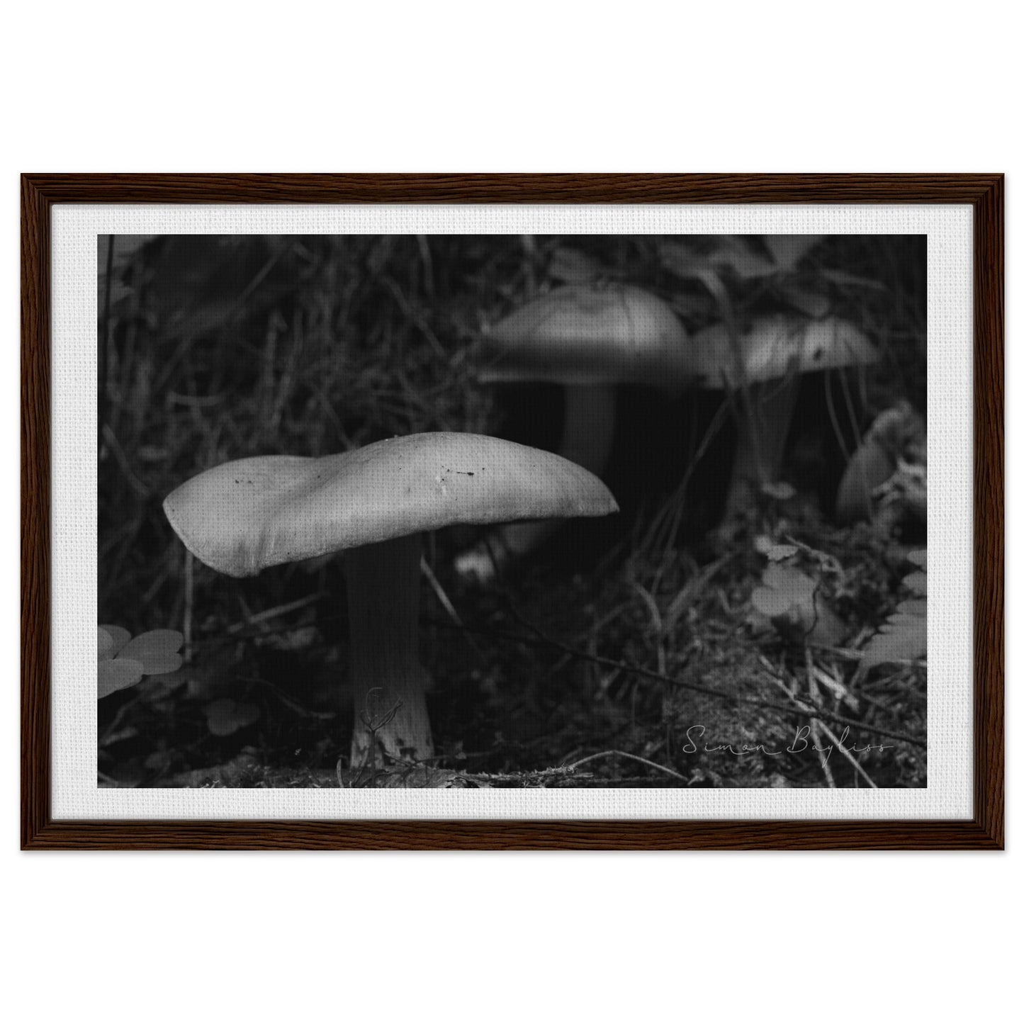 12f0bcd2-8cc7-4770-9221-ff306f0e5988