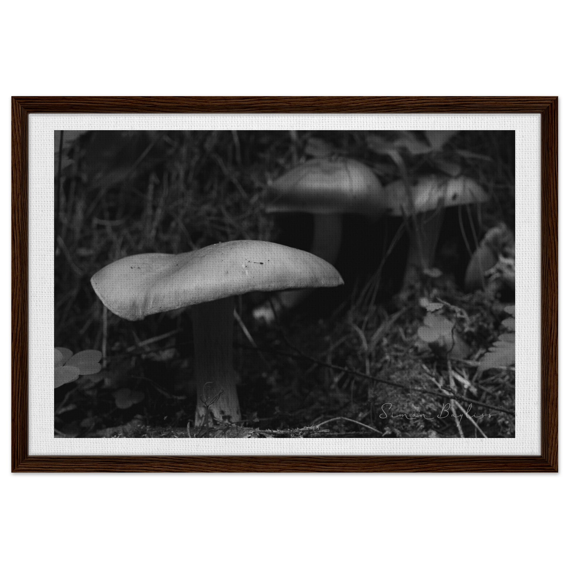 12f0bcd2-8cc7-4770-9221-ff306f0e5988