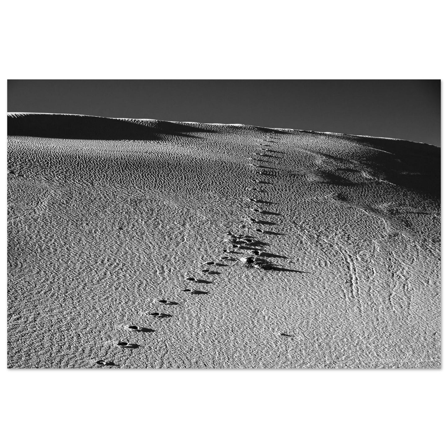 12fafd04-a17f-4c96-9c0f-0bee40a12386