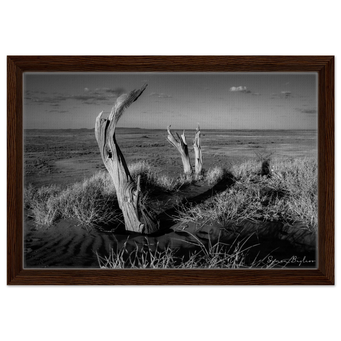 1356ee3f-a5f8-4427-a27c-af9e36d3e1e0