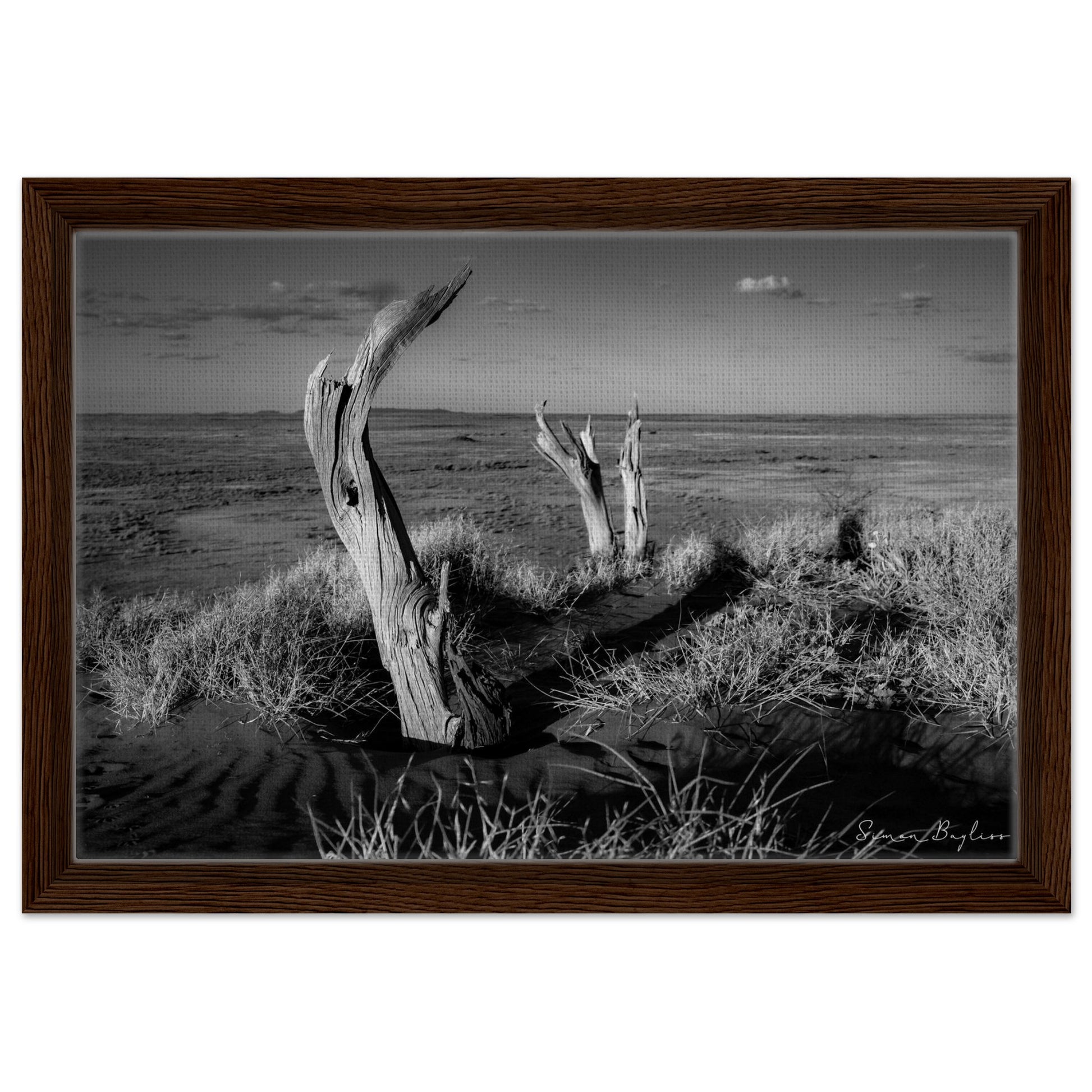 1356ee3f-a5f8-4427-a27c-af9e36d3e1e0