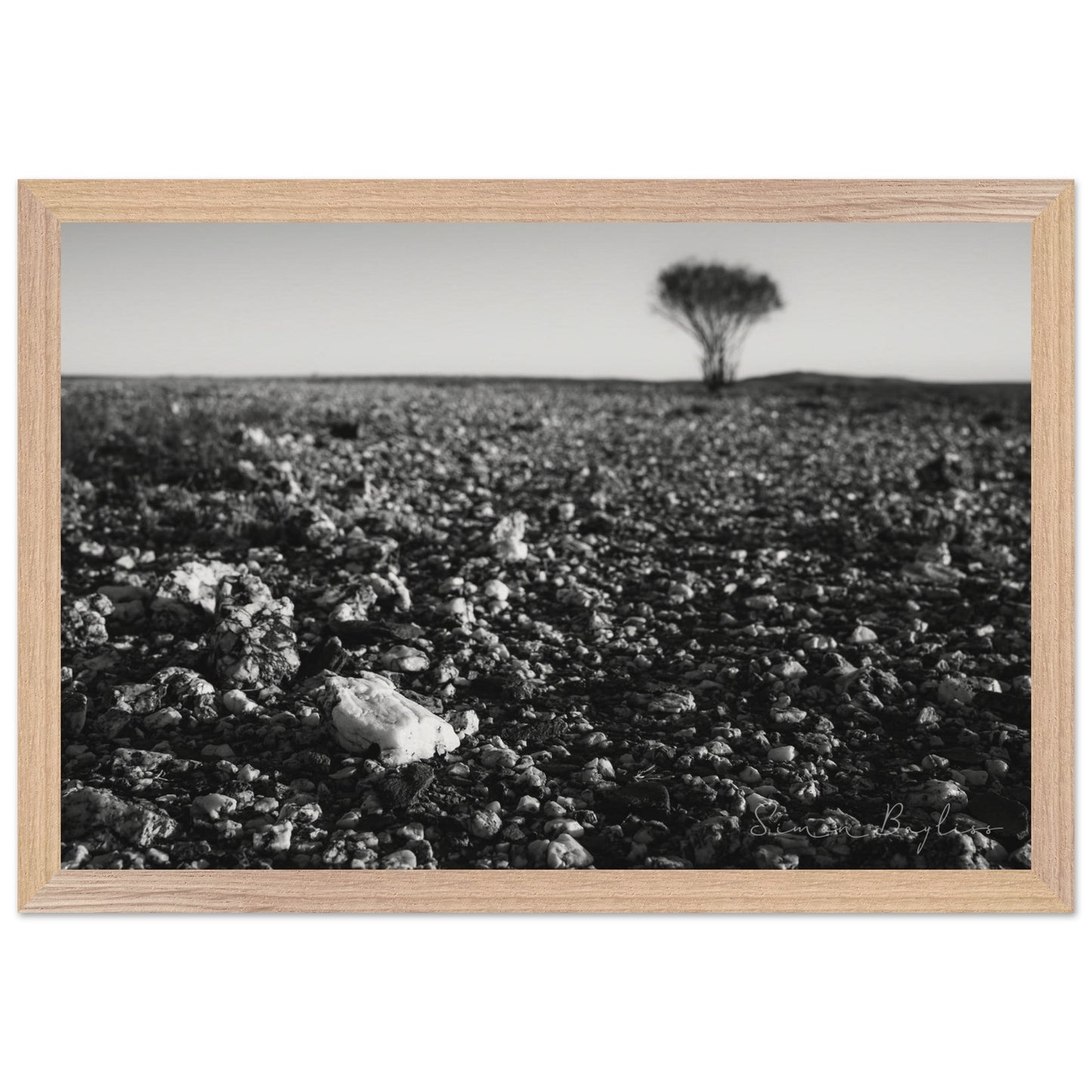 13ab7209-8444-4a94-b4f7-e2d30594d46a