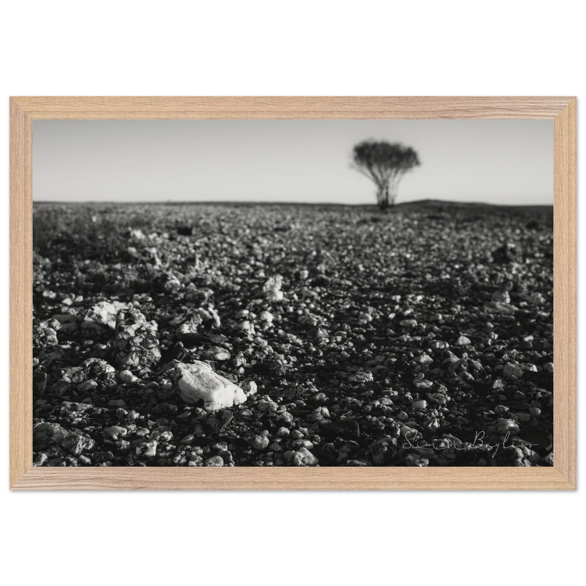 13ab7209-8444-4a94-b4f7-e2d30594d46a