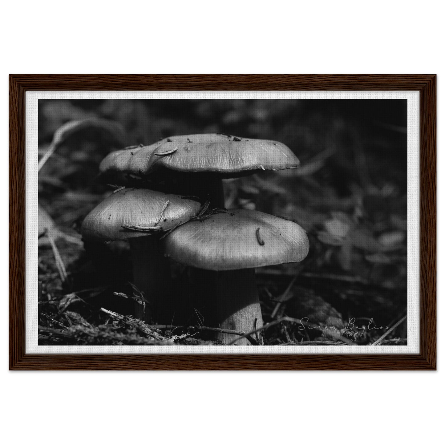 1447caf6-c63c-426e-b3f7-3a1468b812c6