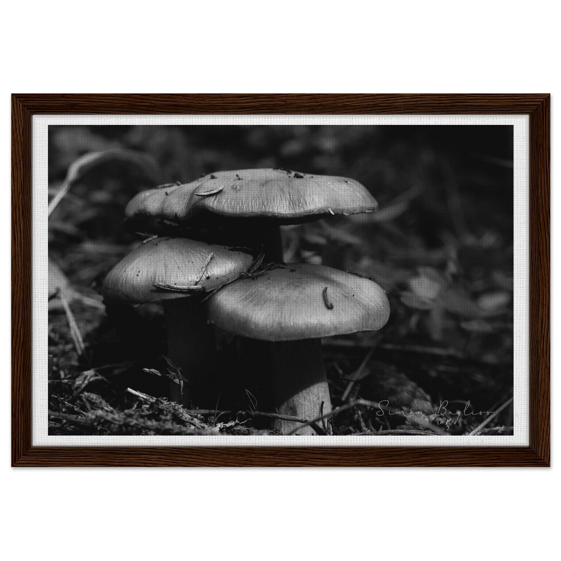 1447caf6-c63c-426e-b3f7-3a1468b812c6