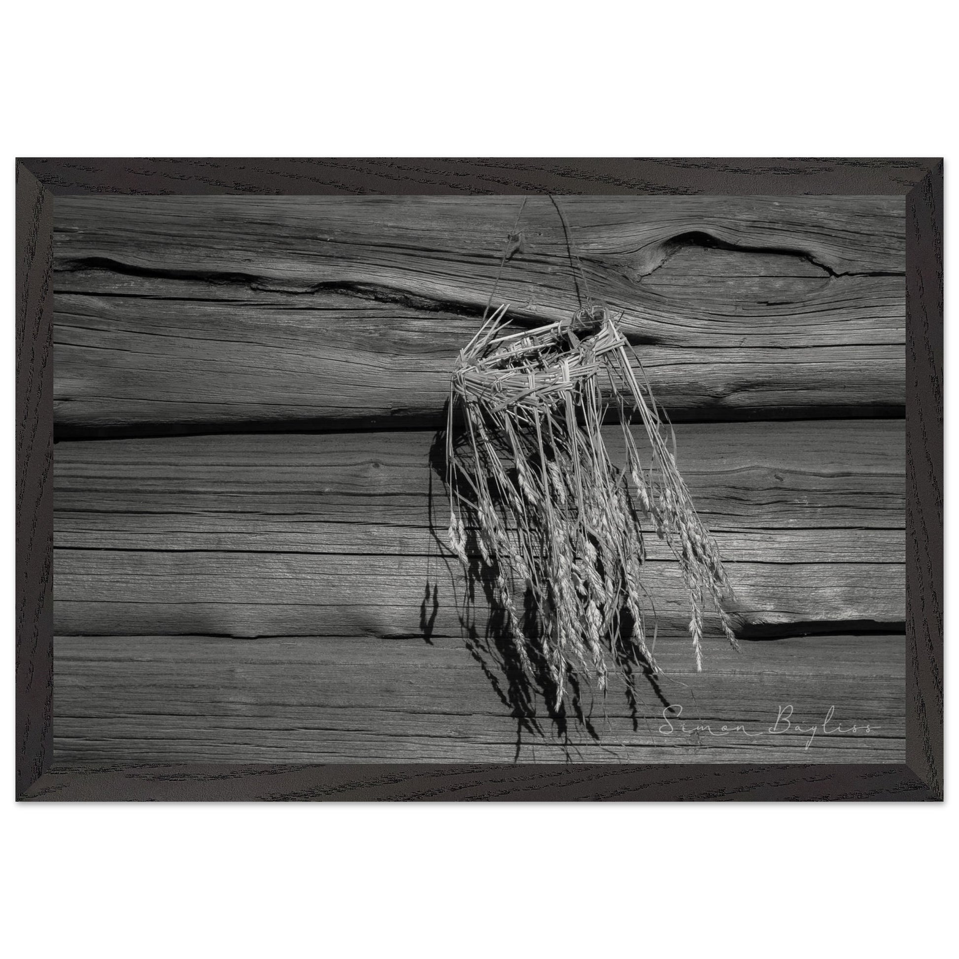 1453fe56-aab3-4fe2-a7a9-8b590e8b4777