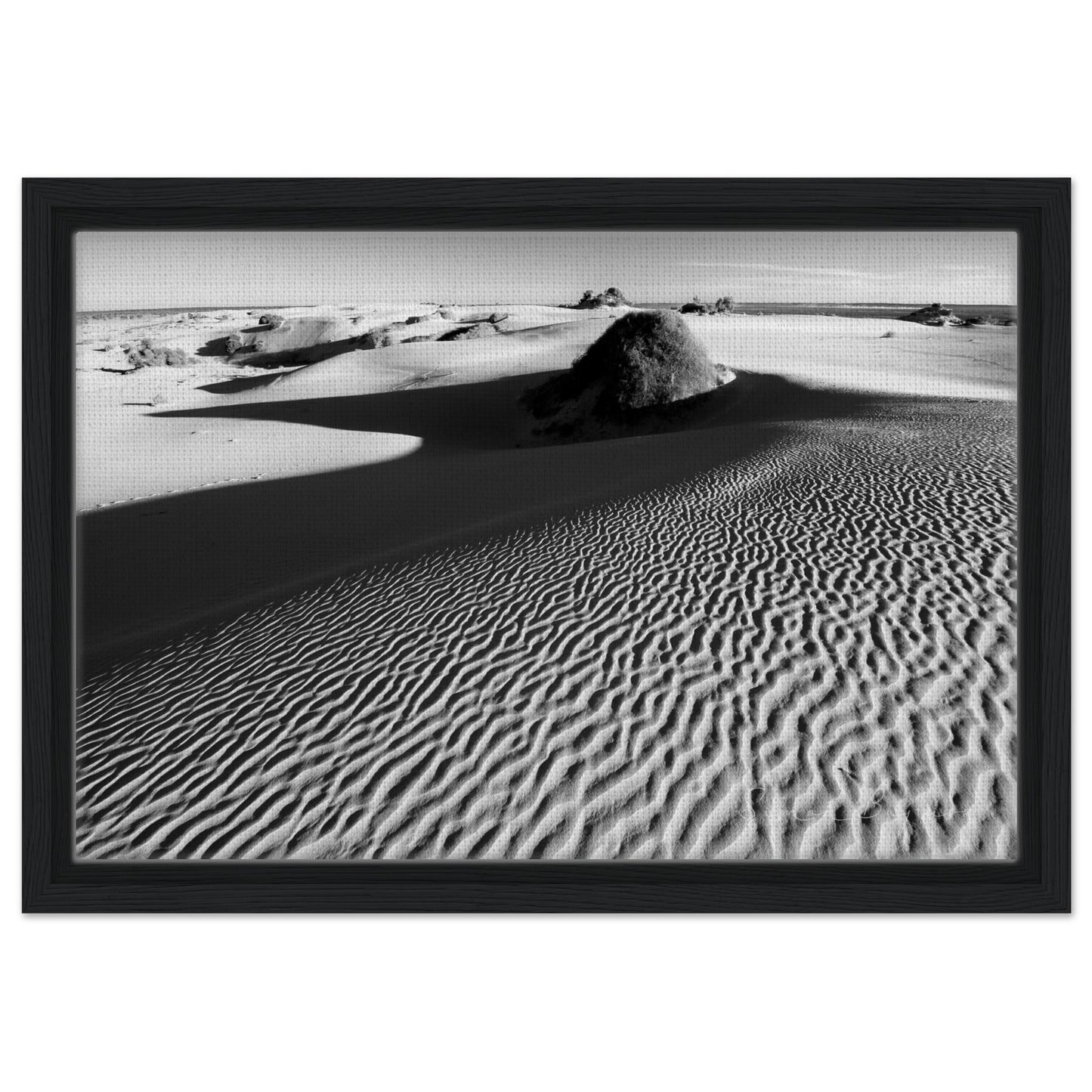 14855d93-d8bd-450c-a4ef-cc704a54b9bf