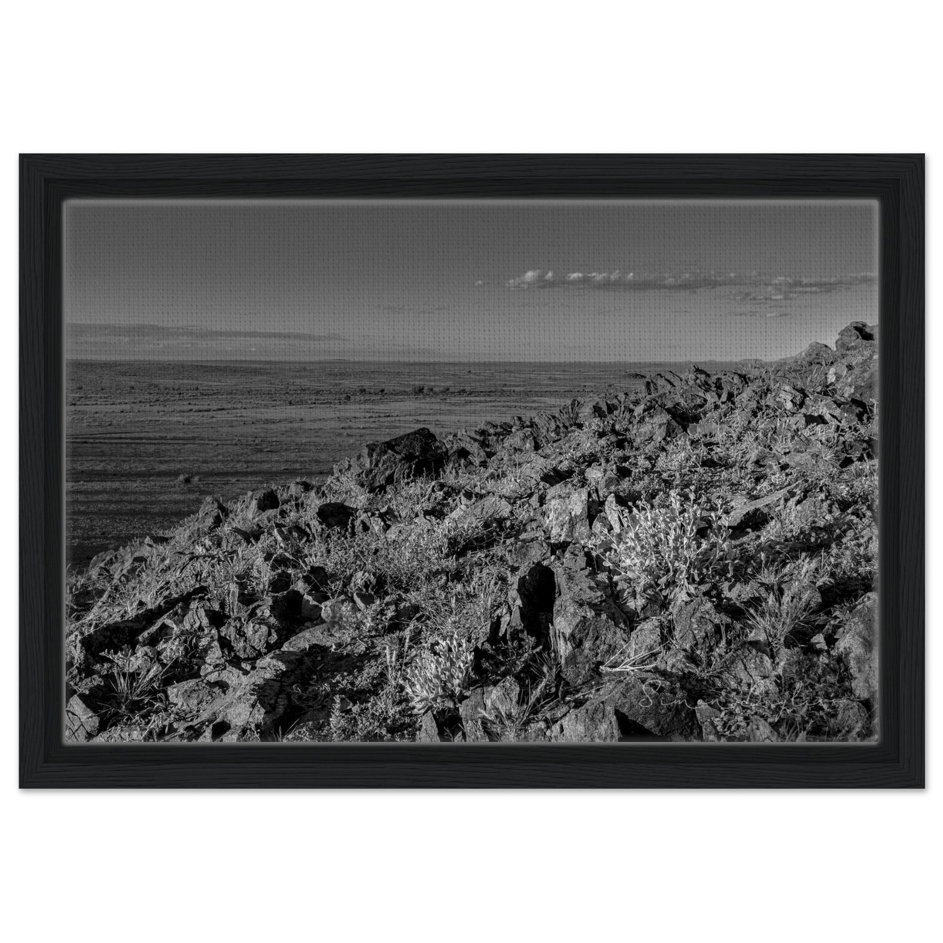 15b6c19f-a081-4c1e-9fd4-f52c34889ba3