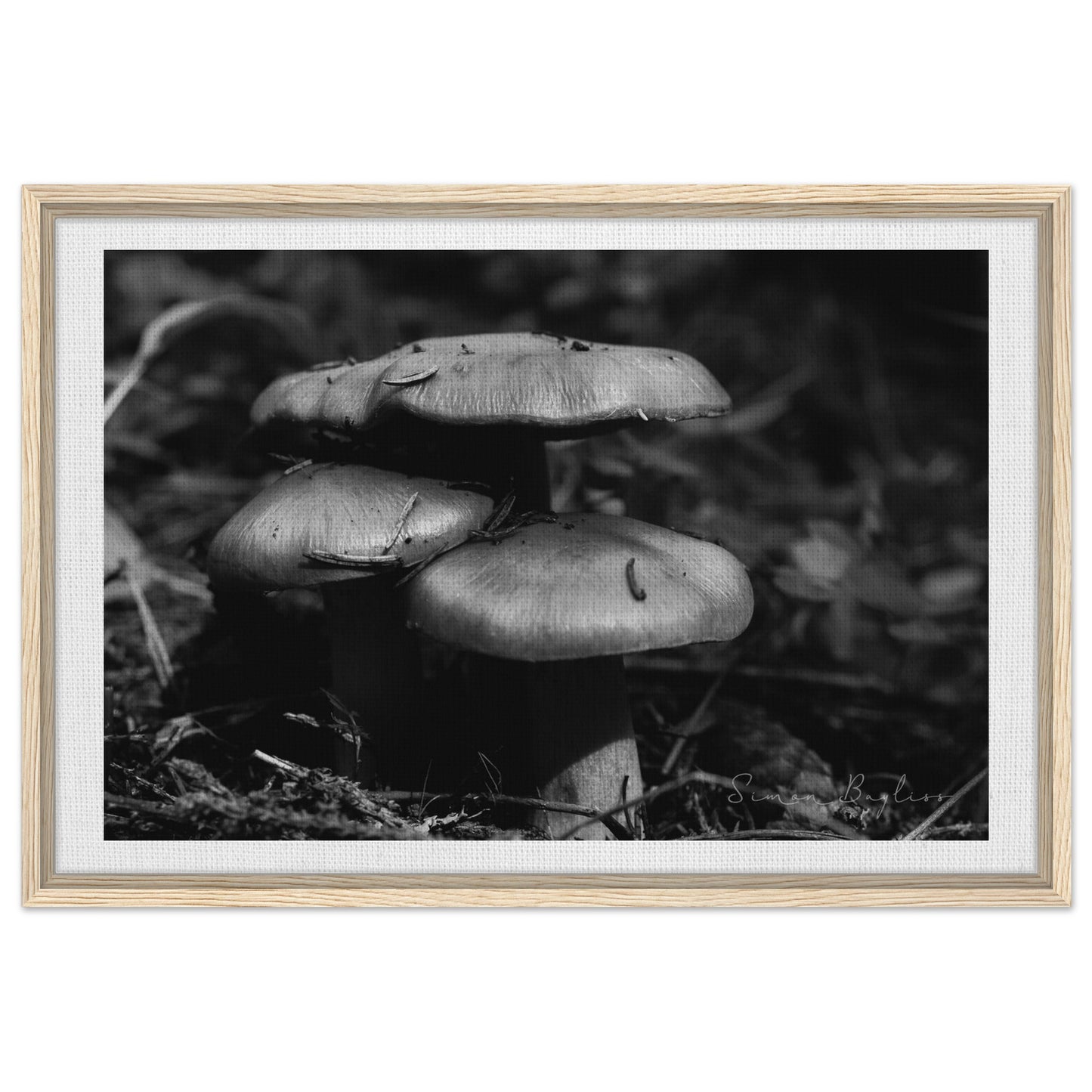 16640724-ac7f-473c-814a-3b0f9674537f