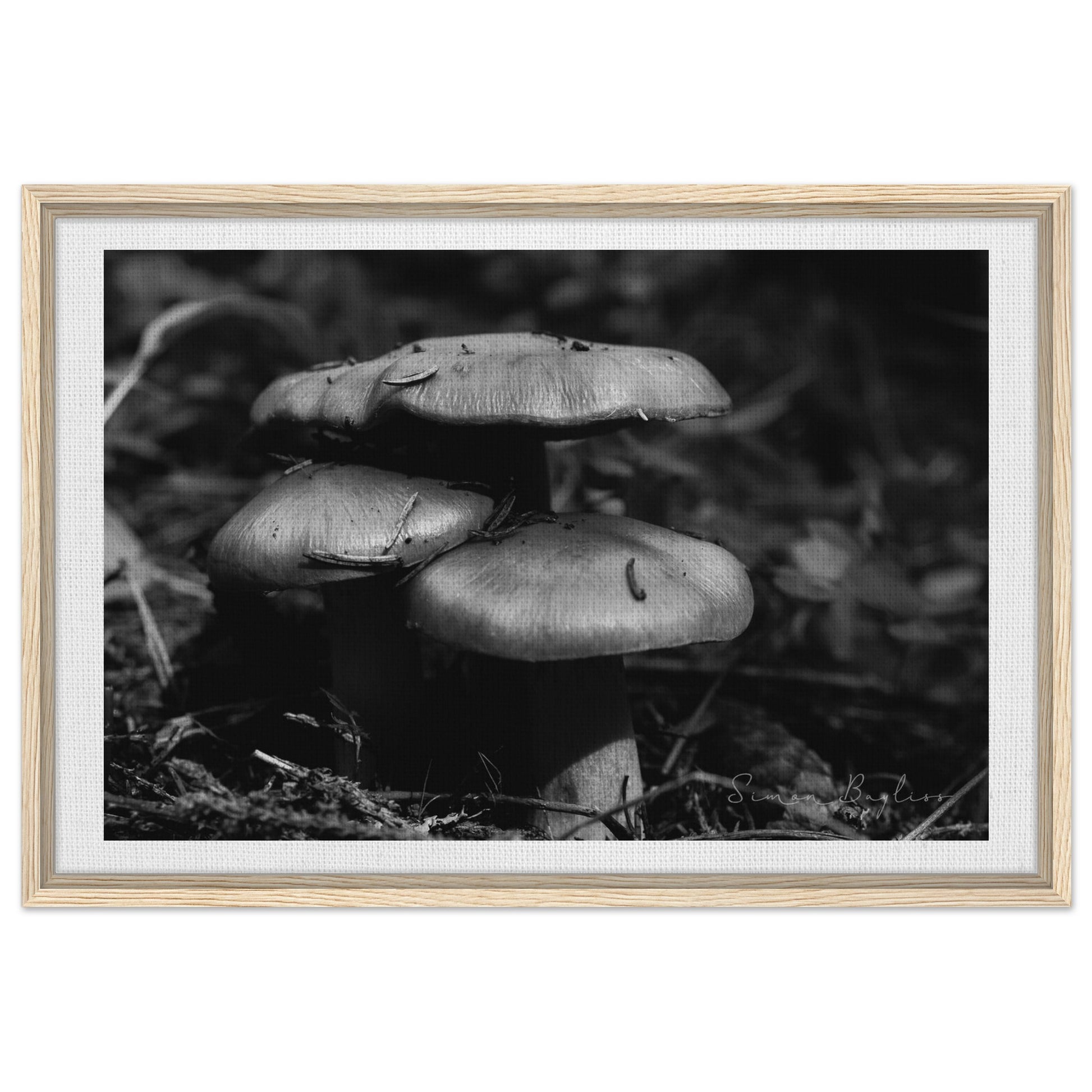 16640724-ac7f-473c-814a-3b0f9674537f