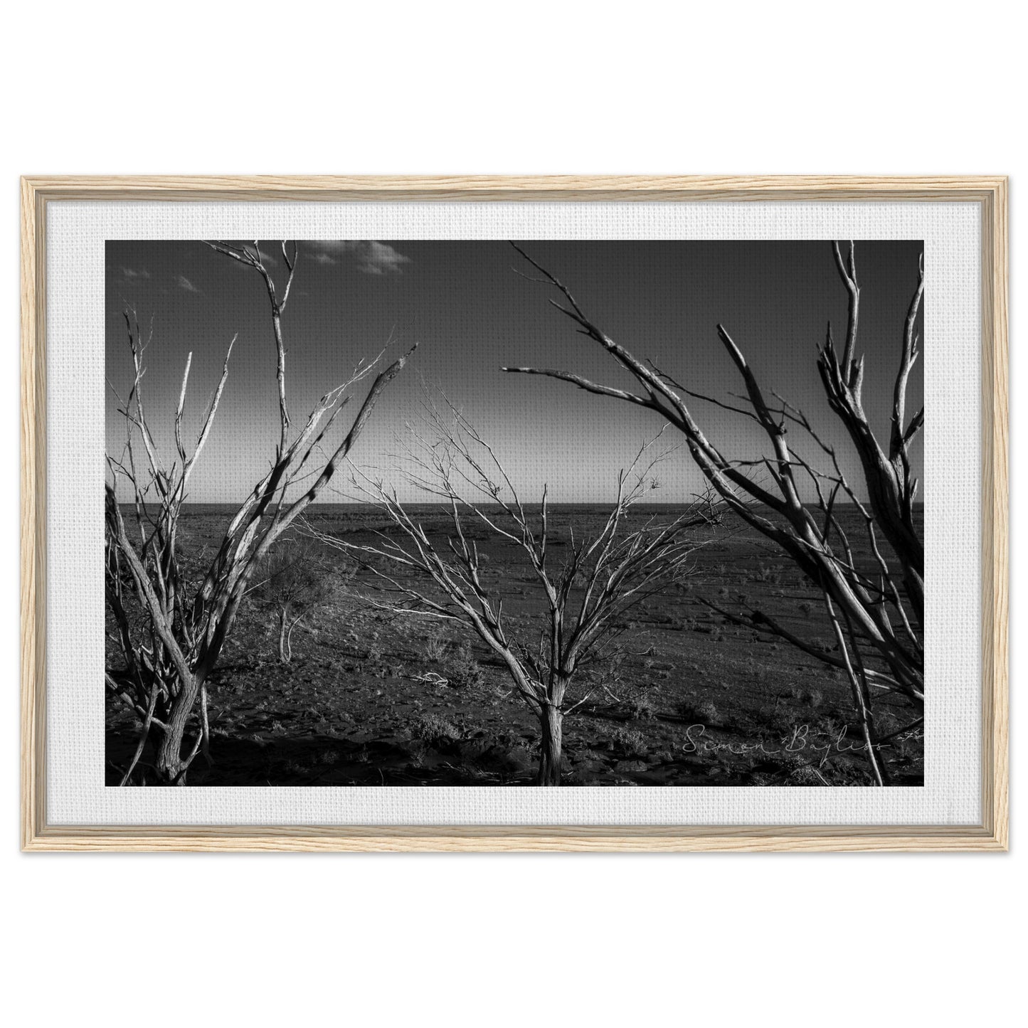 1695c6a1-10d0-4c2c-837c-b7d4f3df68da