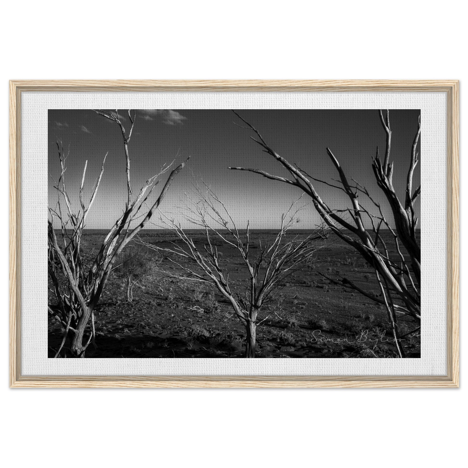 1695c6a1-10d0-4c2c-837c-b7d4f3df68da