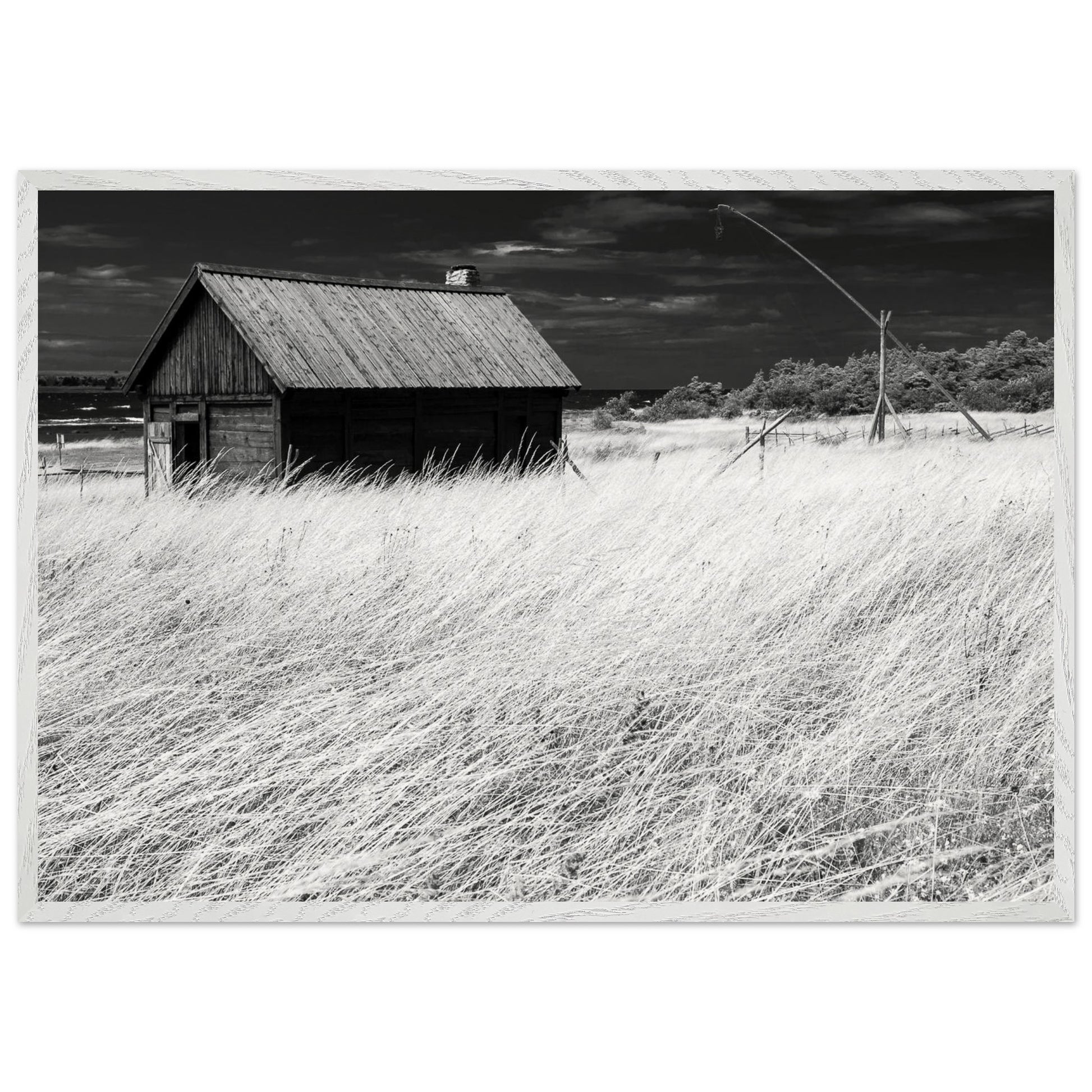 1734e999-bb87-47da-87fe-43d86e3217b6