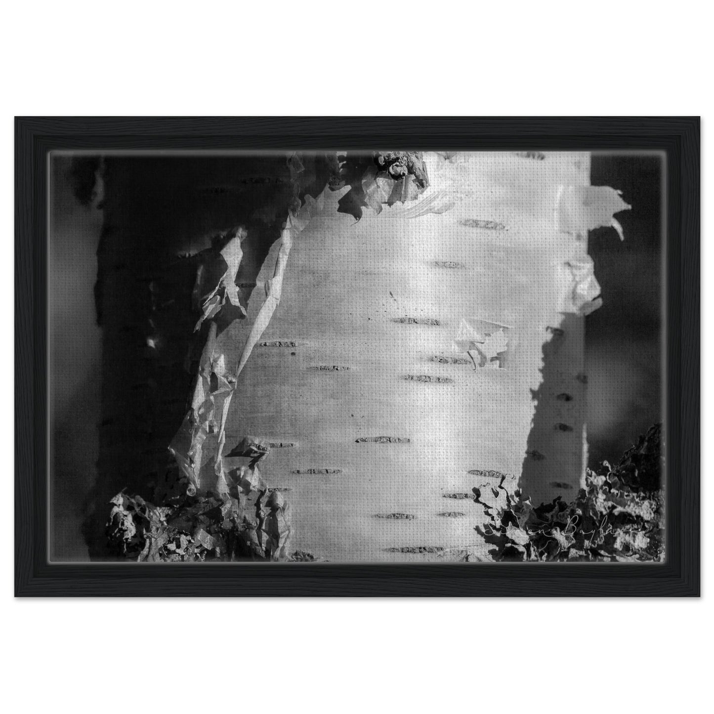 180109d2-334c-426d-9949-8a4e45944e7f