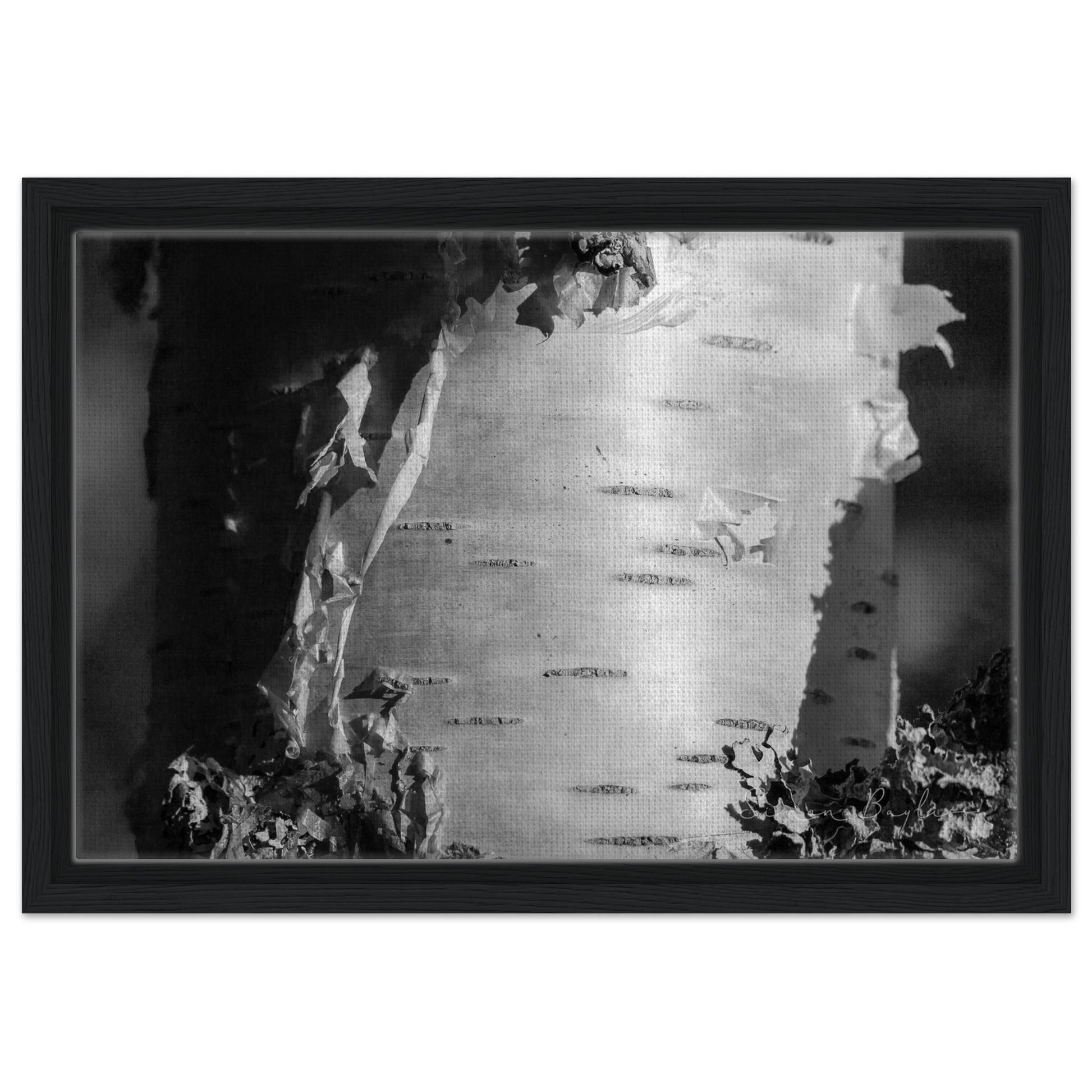 180109d2-334c-426d-9949-8a4e45944e7f