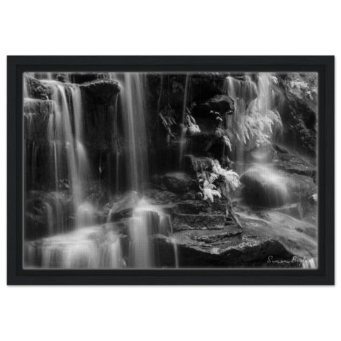 1889b8d5-7711-4d45-84fe-054530fc1df6