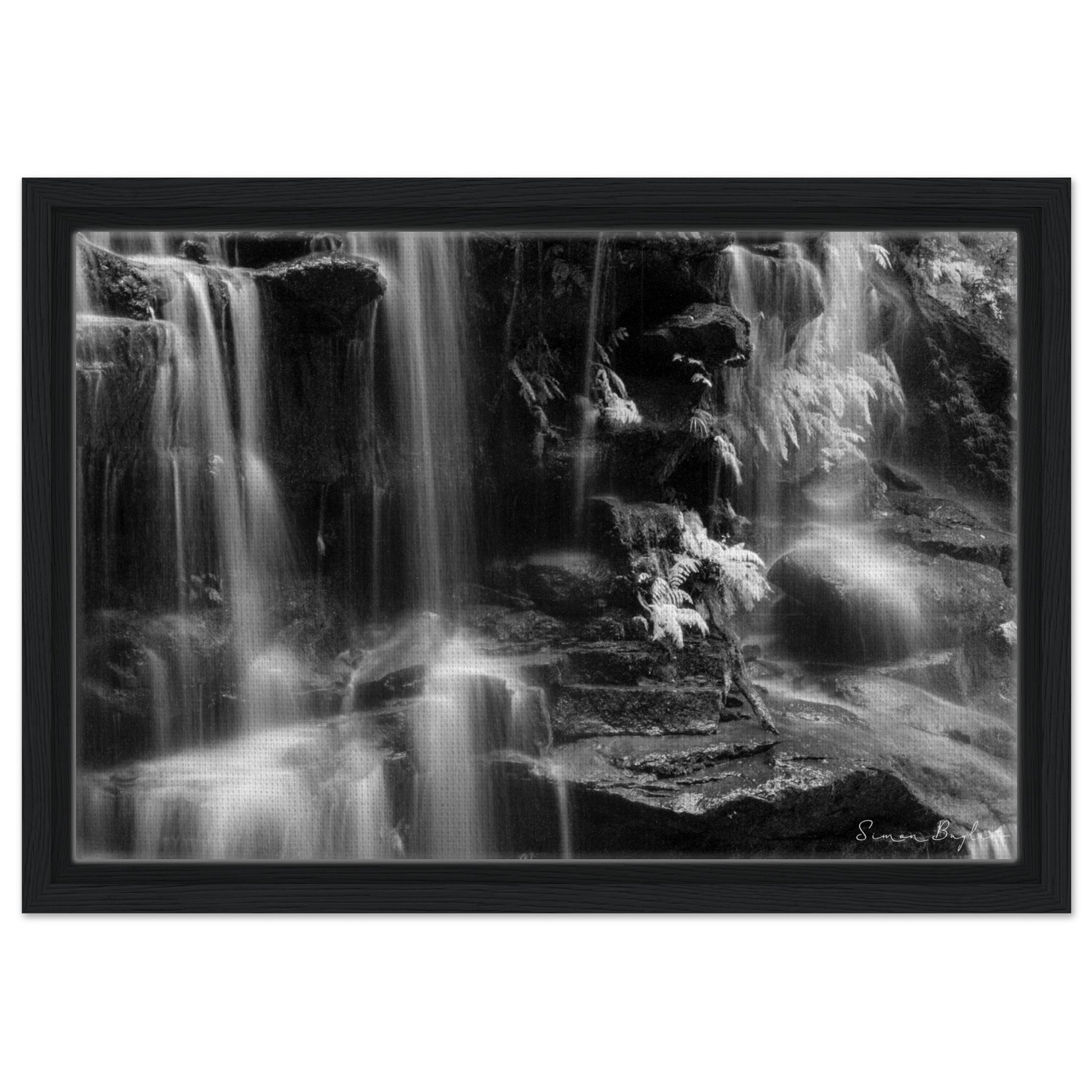 1889b8d5-7711-4d45-84fe-054530fc1df6