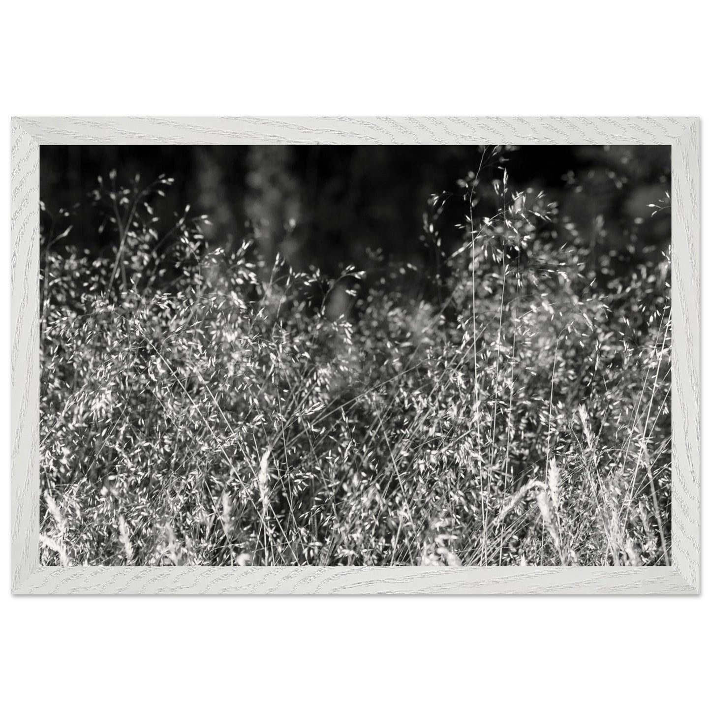 18d3e221-e97b-4b42-a4bb-97360b4cf9c5