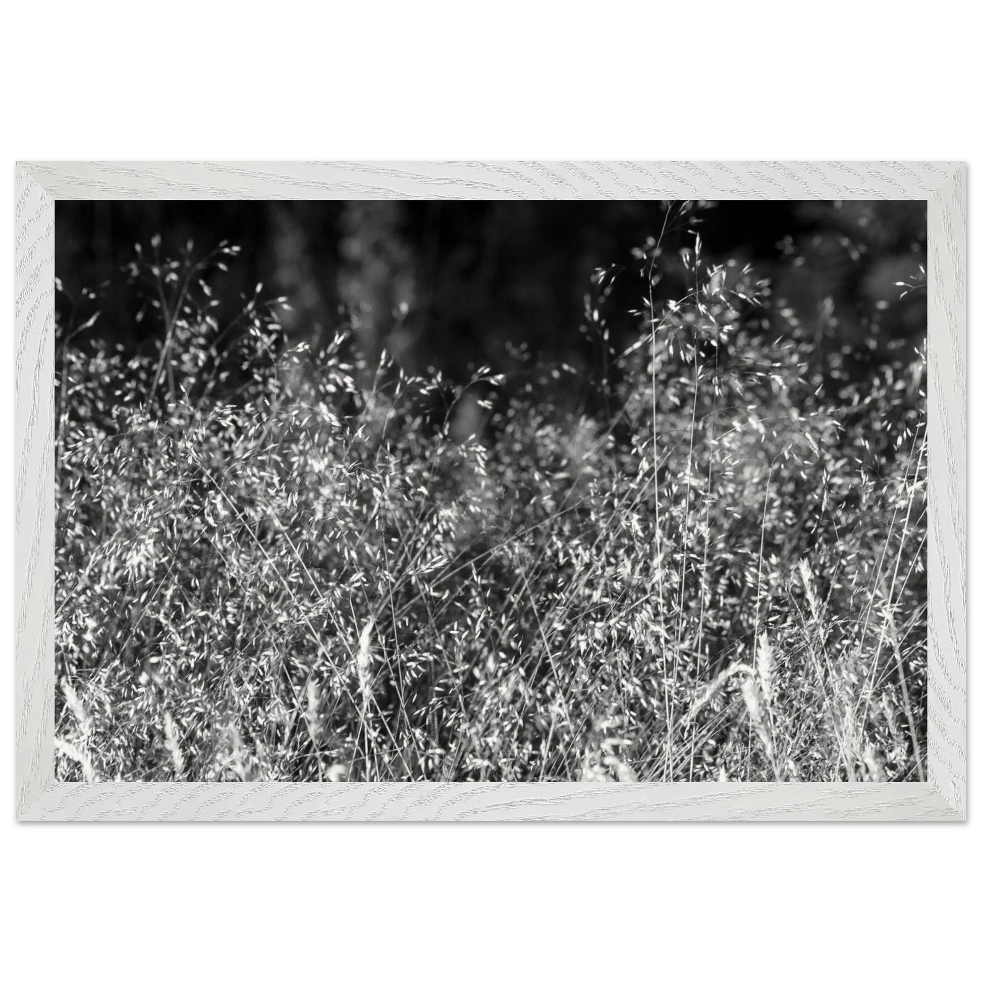 18d3e221-e97b-4b42-a4bb-97360b4cf9c5