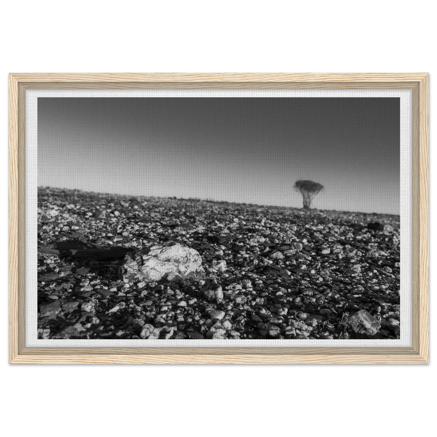 19738806-b383-42b8-8890-a0d0773df04c