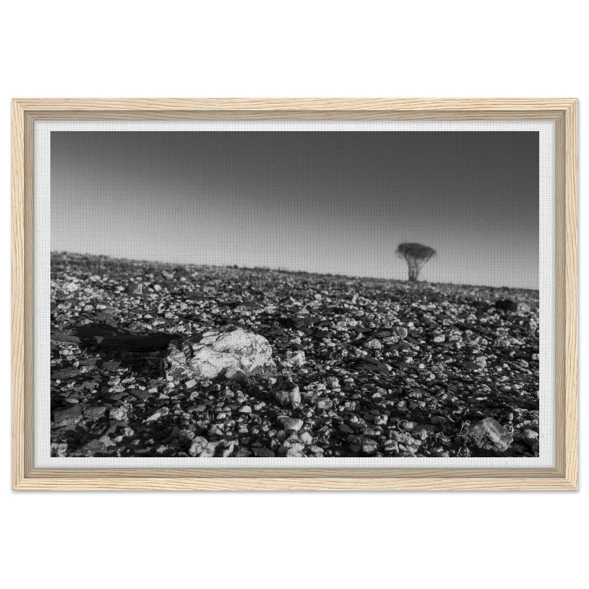 19738806-b383-42b8-8890-a0d0773df04c