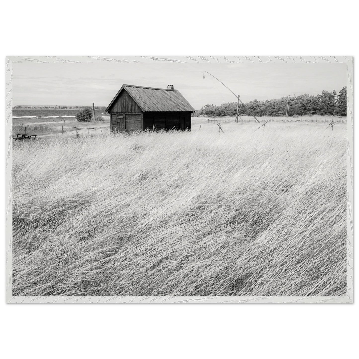 19a38f11-808f-4d3d-80d9-064832906f63