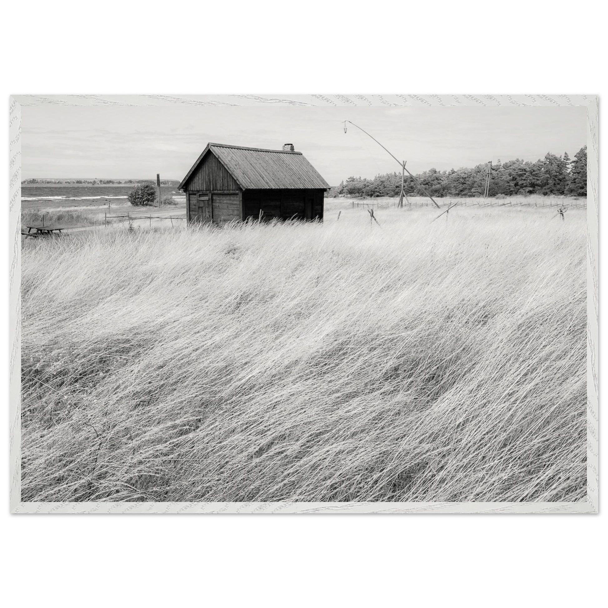 19a38f11-808f-4d3d-80d9-064832906f63