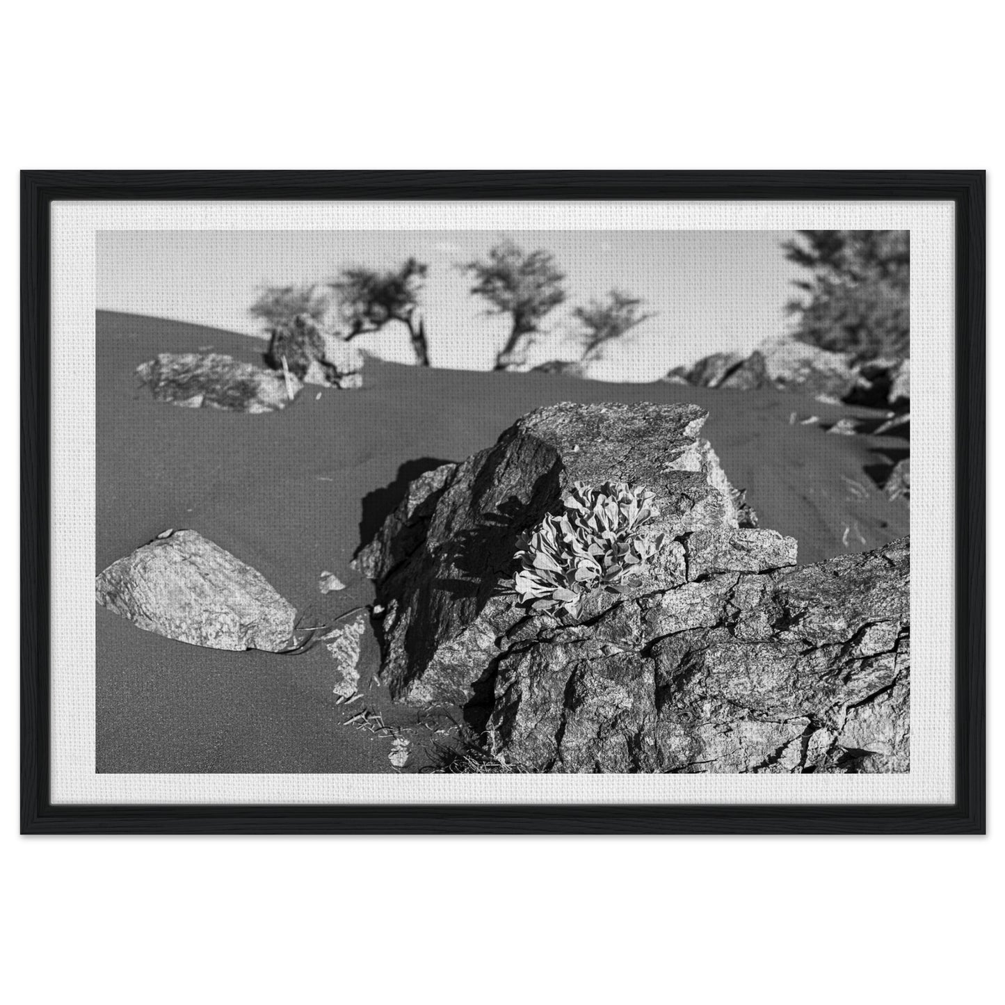 19b8a797-ac1c-4546-94ad-2e6dc39153df