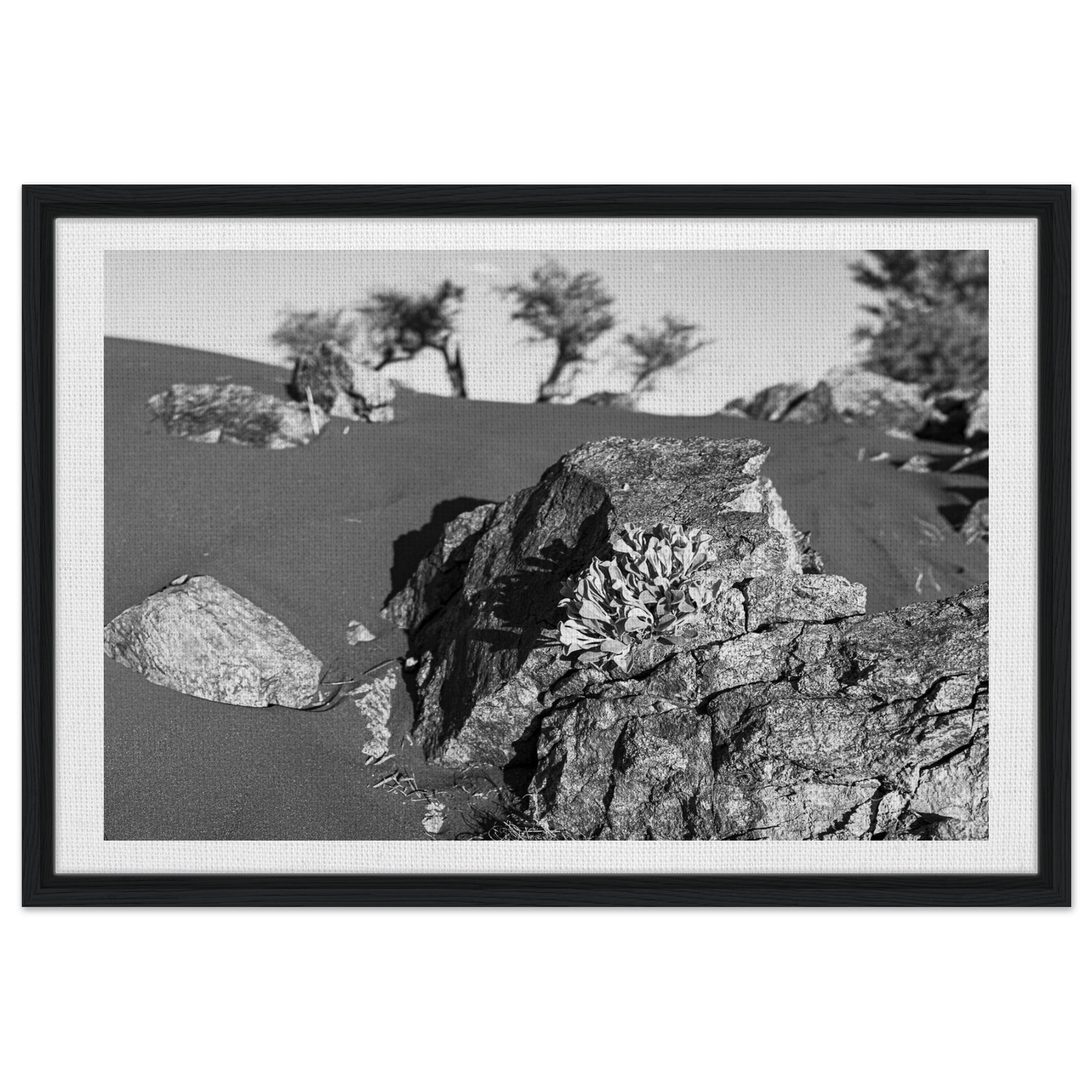 19b8a797-ac1c-4546-94ad-2e6dc39153df