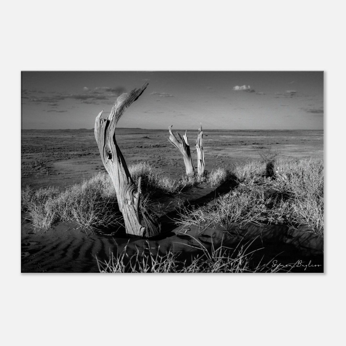 19beea9c-13ca-406f-8899-470ddbc133ea