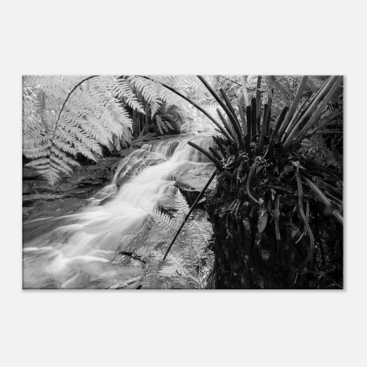 1a56bce8-bdf0-4e72-9844-68a314bf0ef5