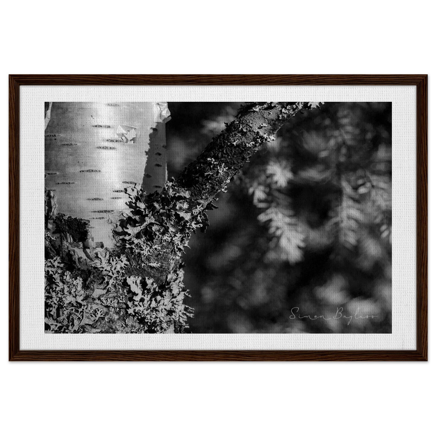 1af1f900-ba21-48e5-882c-ed821de9fcb0