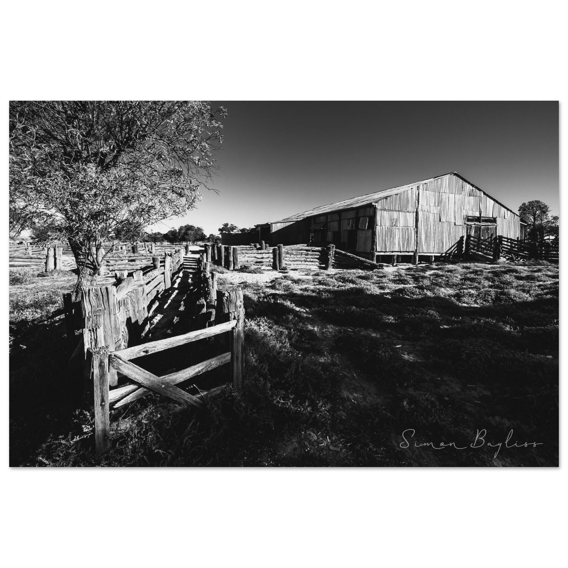 1b2ceca6-1030-4a60-9baf-14dd24842aa9