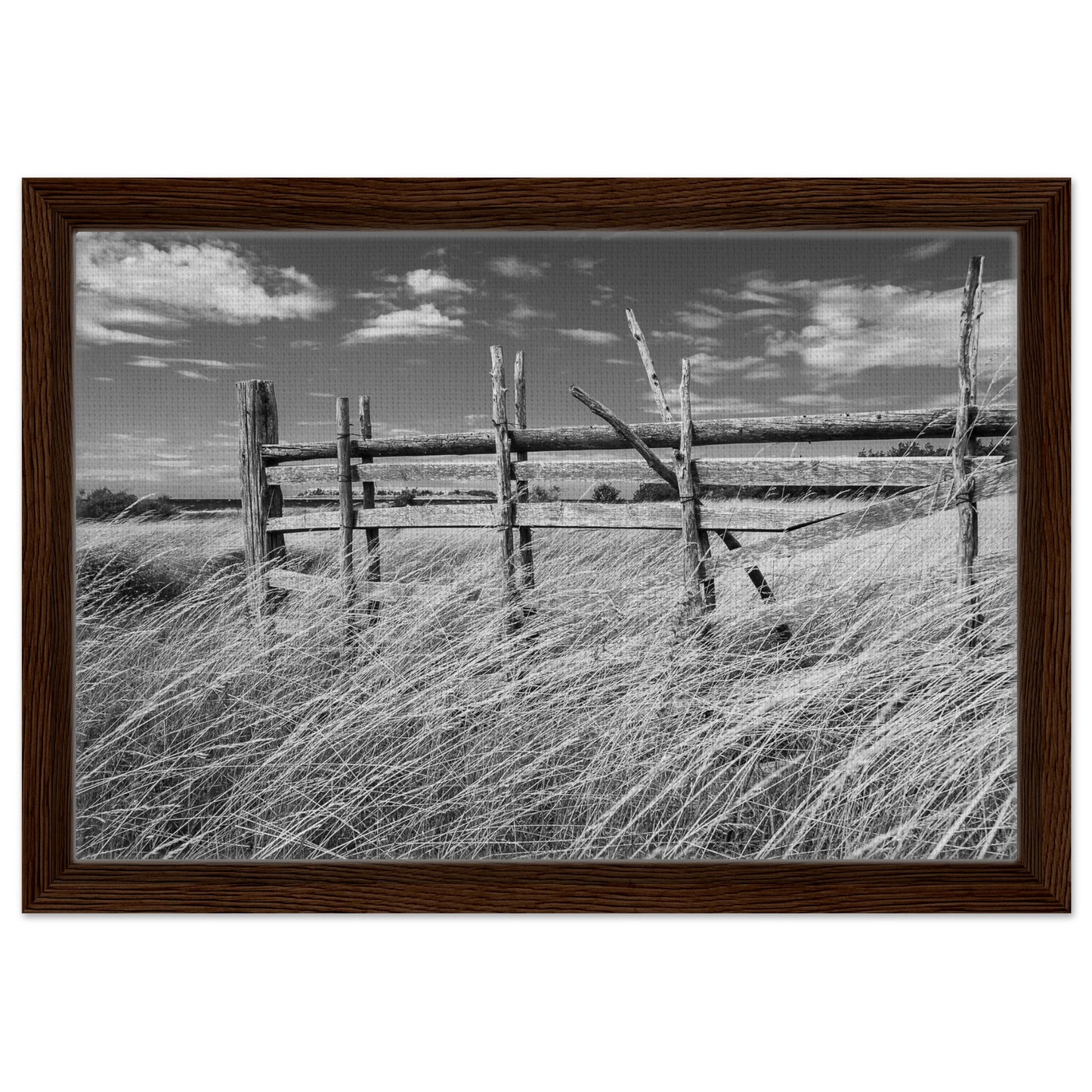 1b417779-1a79-4803-9f7f-8503a1382e1f