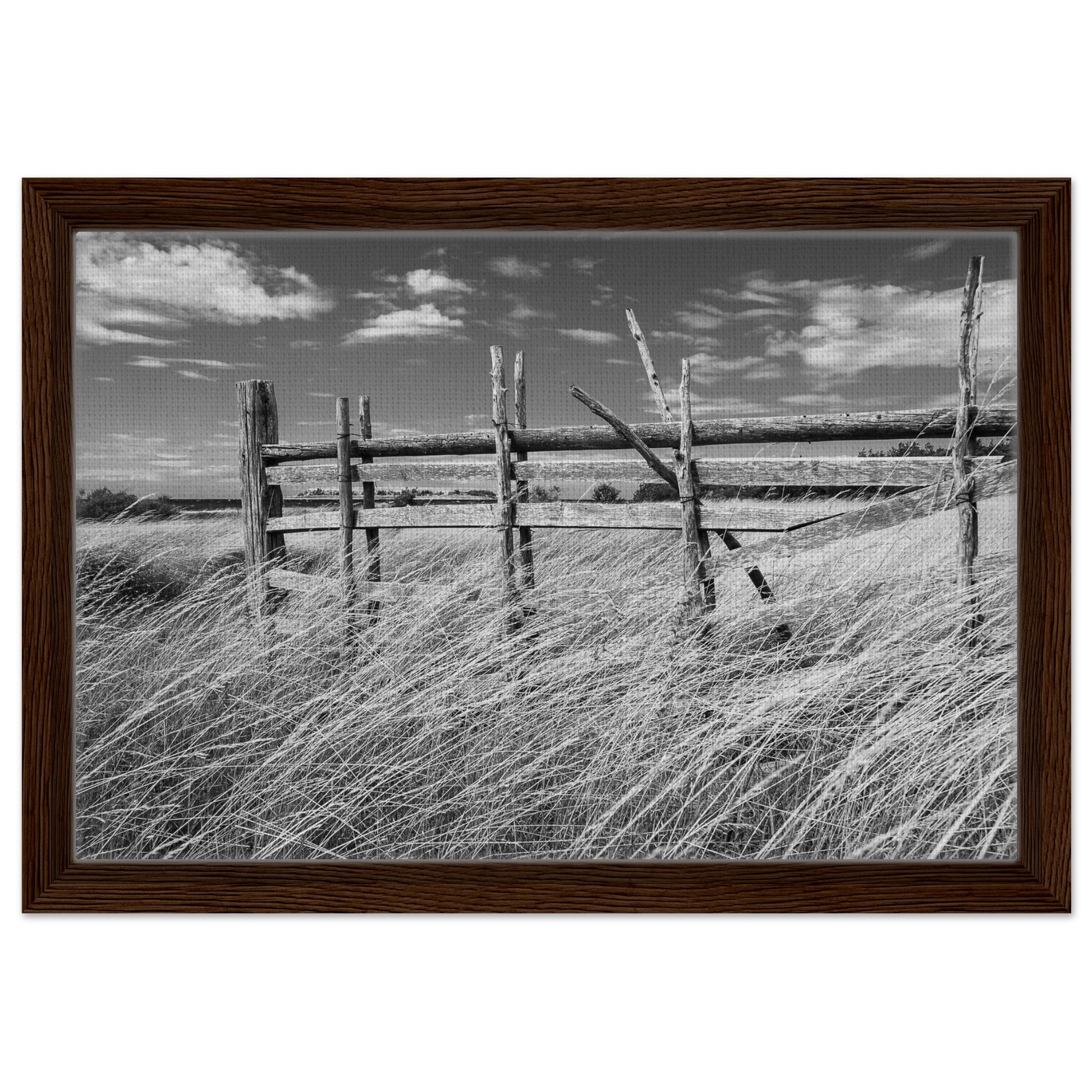 1b417779-1a79-4803-9f7f-8503a1382e1f