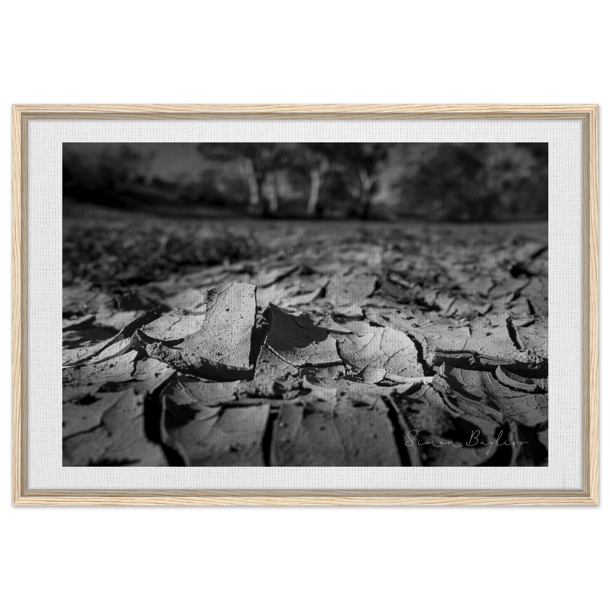 1b8b3af5-b401-430f-b564-a009f530a411