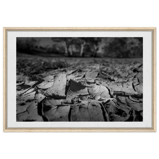 1b8b3af5-b401-430f-b564-a009f530a411