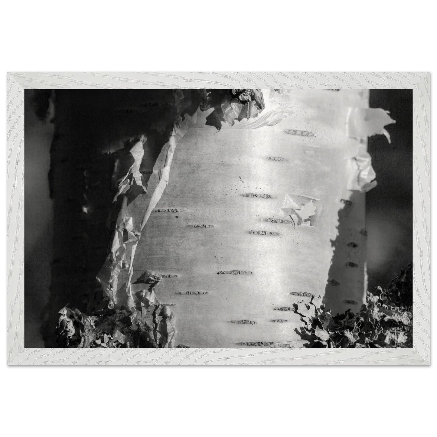 1b96067a-4ff7-429f-941c-c02a3f327f31