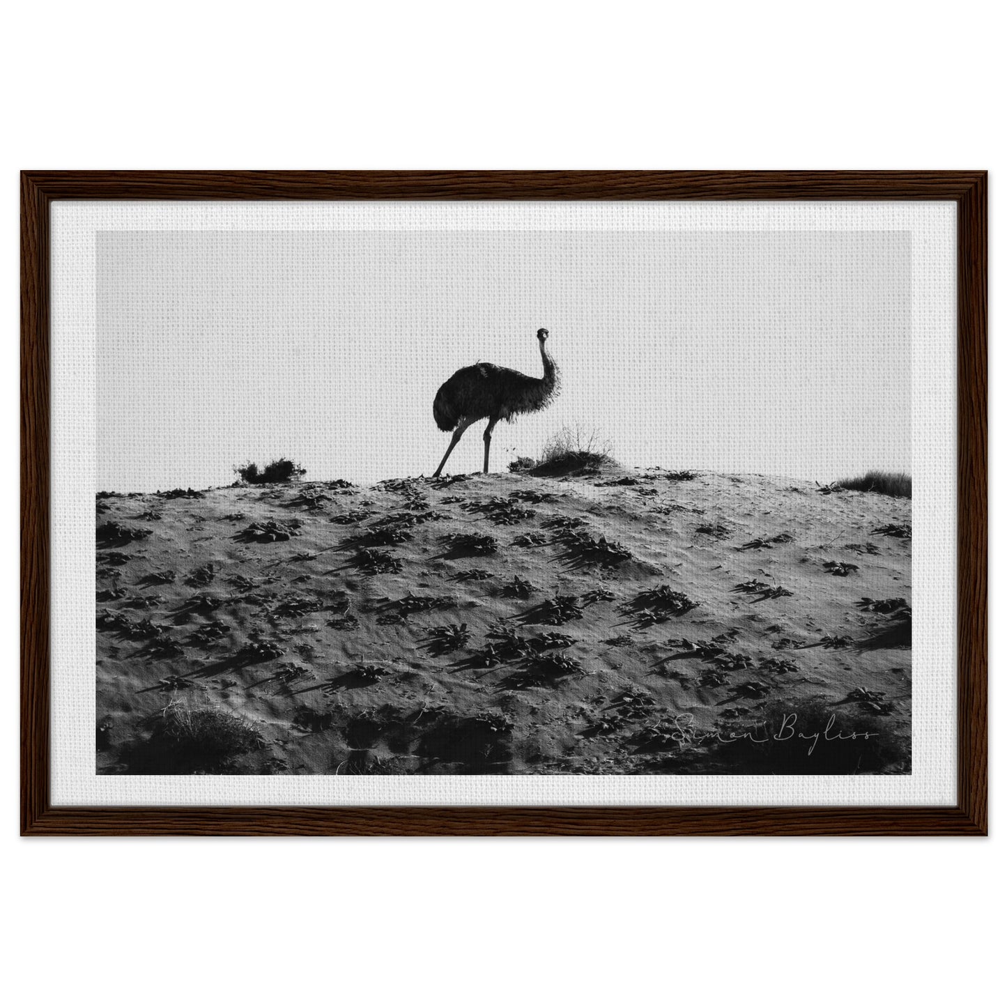 1c580b82-b11b-427b-aa60-d53283a03ad2