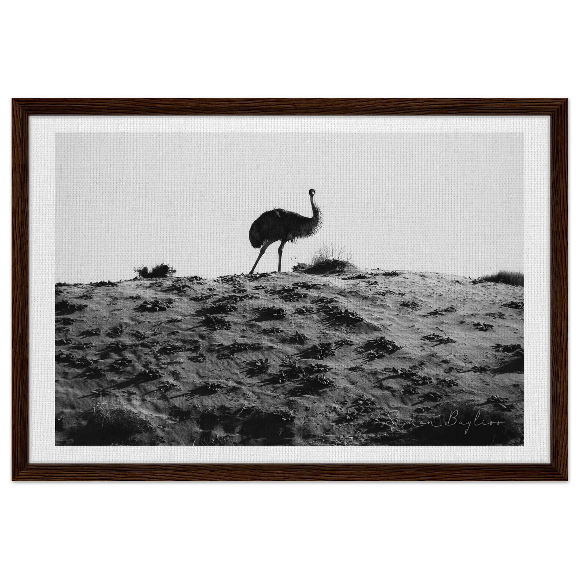 1c580b82-b11b-427b-aa60-d53283a03ad2