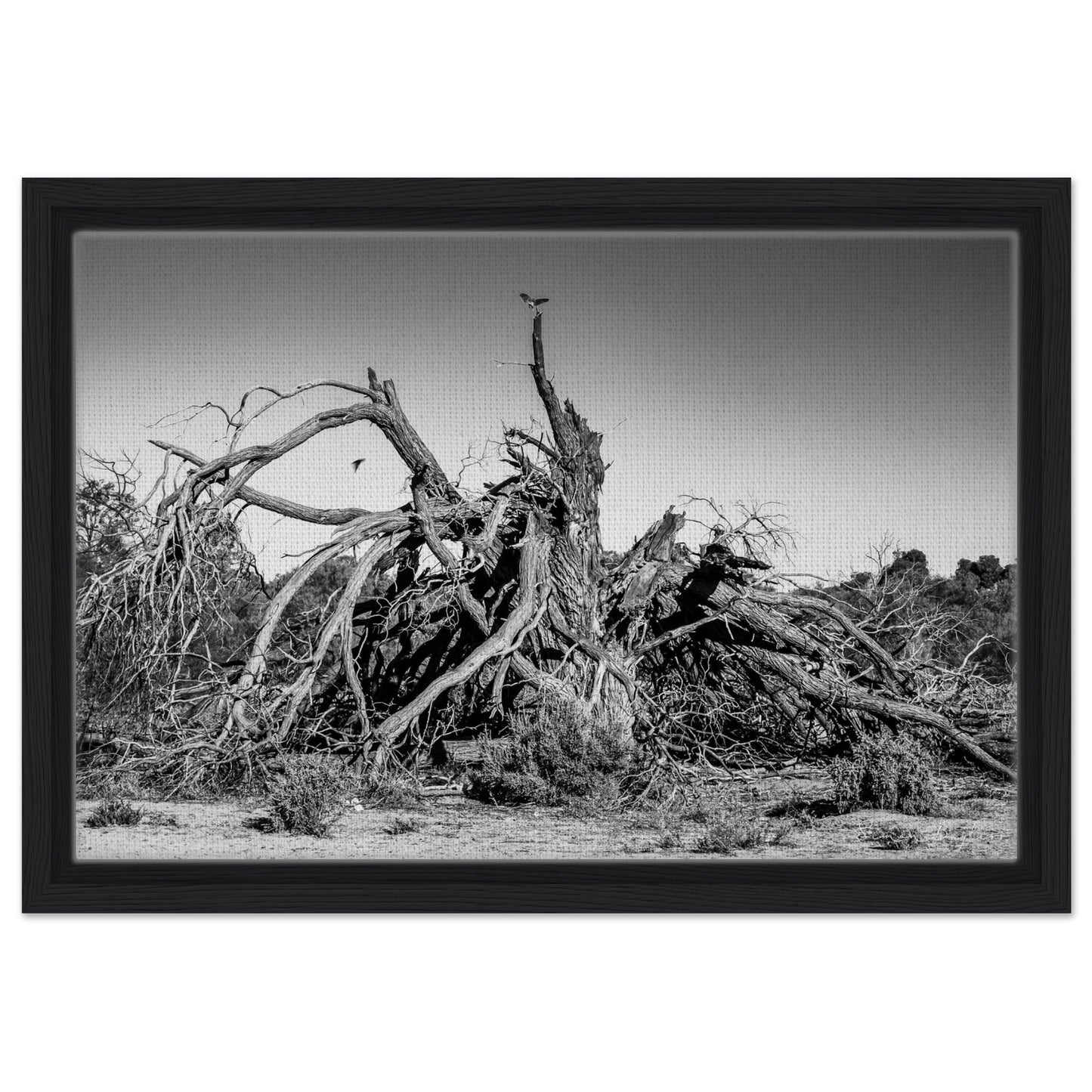 1cc081a7-7c2d-480f-a195-1c75e38748da