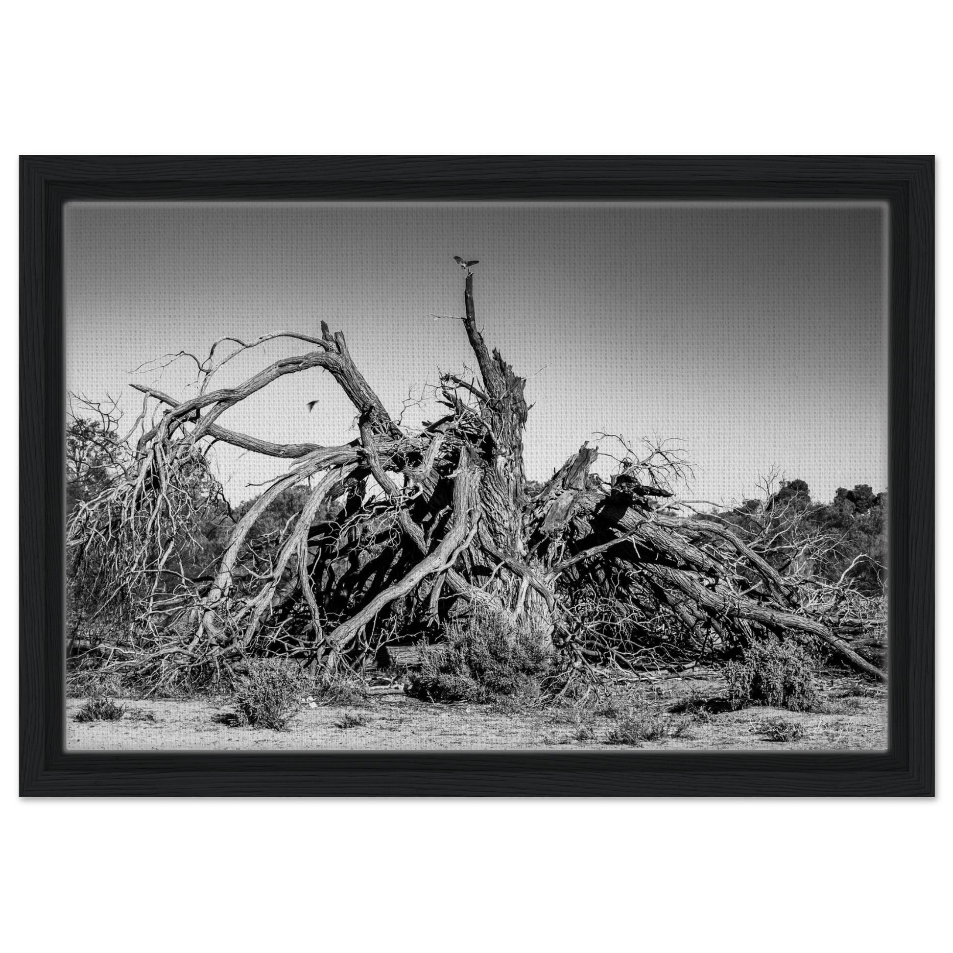 1cc081a7-7c2d-480f-a195-1c75e38748da